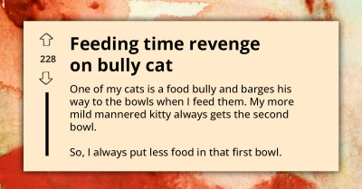 Owner Gets Revenge By Serving Less Food To Bully Cat At Feeding Time