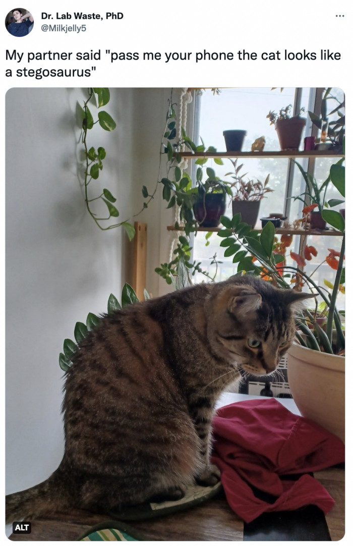 11. They survived because they're half dinosaur, half plant, and 100% adorable