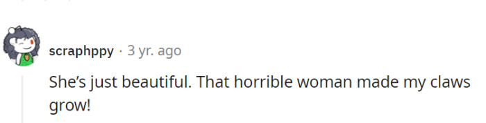 A beautiful cat can inspire both admiration and some sharpened claws when dealing with a troublesome grandma. Kitties: the masters of self-defense and style!