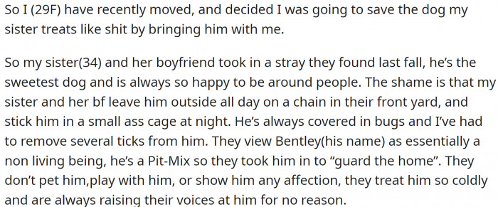 Her sister has a dog, and she is seriously maltreating it. OP is moving to another city, so she decided to steal (rescue) it and take it with her.