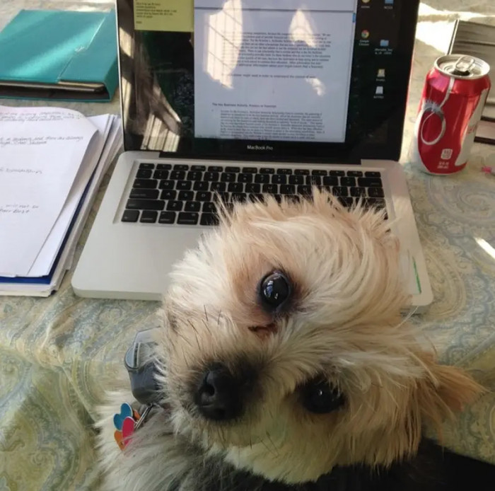 7. Not one more word allowed