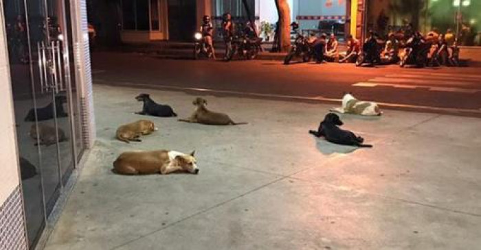 A homeless man named Luiz was taken to the Santa Casa Hospital in Cianorte, southern Brazil