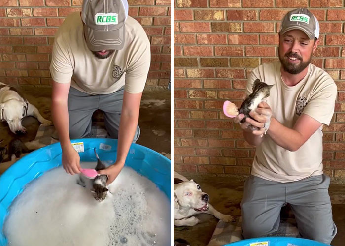 They sure got lucky that it was Robert who found them and took them all in.