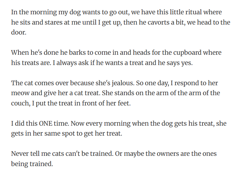 13. One treat of fairness, and now it’s a full-blown morning ceremony.