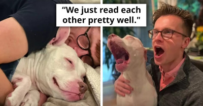 Deaf Dog Finds Forever Home, Never To Return To The Shelter Again