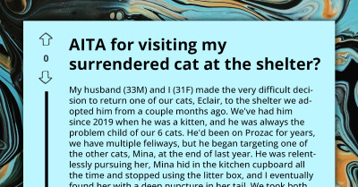 Woman Comes Under Fire For Visiting "Problem Child" Cat She Surrendered To Shelter