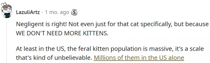 We don't need more stray kittens