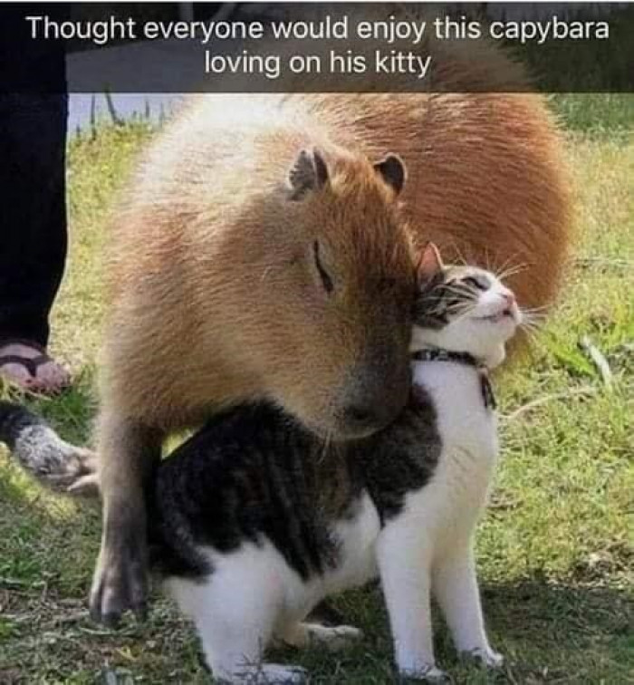 36. This is so wholesome