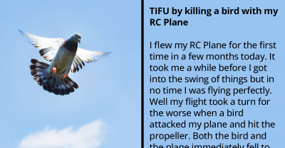 Redditor Accidentally Kills a Random Bird After It Attacked Their RC Plane and Hit the Propeller