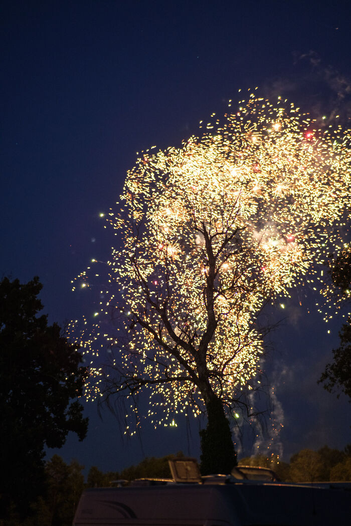 2. ITAP Of A Firework Behind An Old Tree