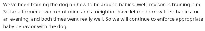 Training the dog to be around babies seemed like an interesting idea, and this was something people were focused on.
