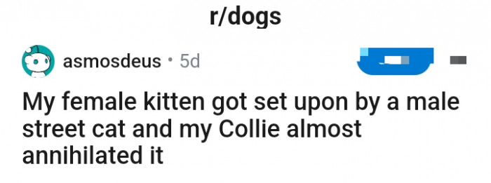 How the OP started the story