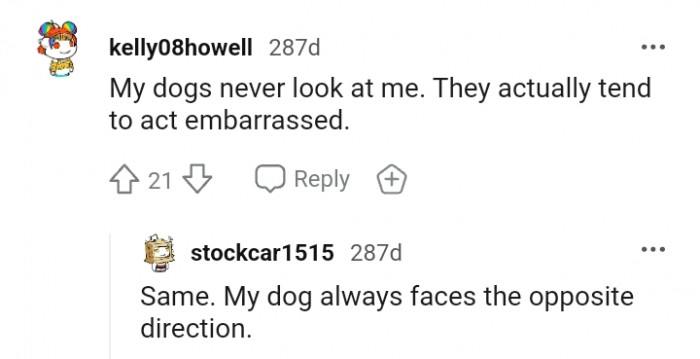 3. My dogs tend to get embarrassed