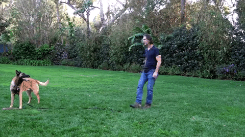 29. Explain to them how recall would benefit everyone