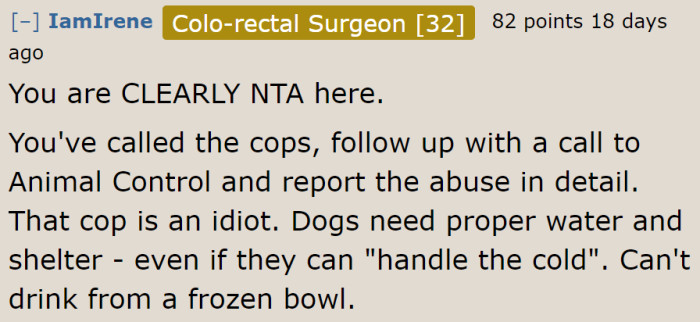 The Shiba Inu may be able to handle the cold, but it will start experiencing health problems without proper food and shelter.