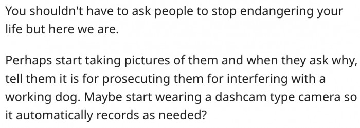 18. People should know better than to endanger others' lives by petting their service dogs.