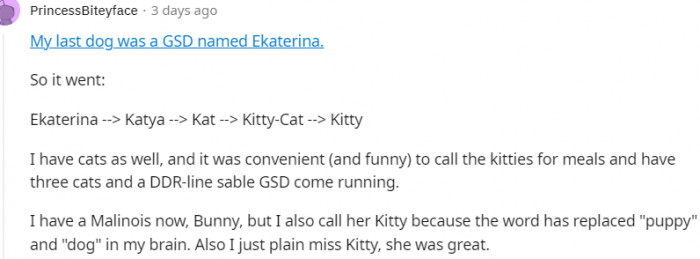 8. This dog's original name is Ekaterina, down to Kitty