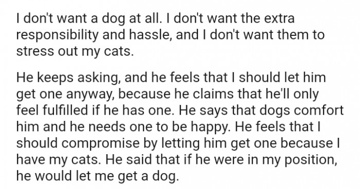He feels I should let him get a dog