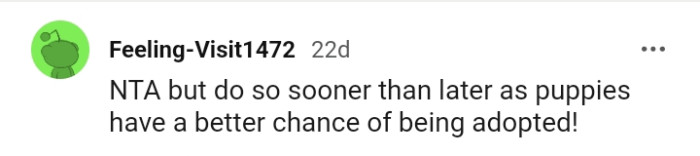 Puppies having a better chance at being adopted