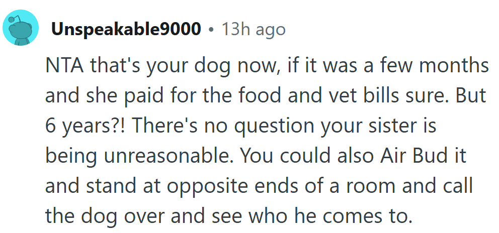Forget court, just cue the Air Bud showdown and see who gets the tail wag.