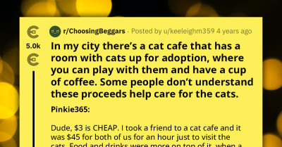 Customer Expresses Concern Over $3 Pricing At Cat Cafe Offering Cat Playtime And Adoption Opportunities