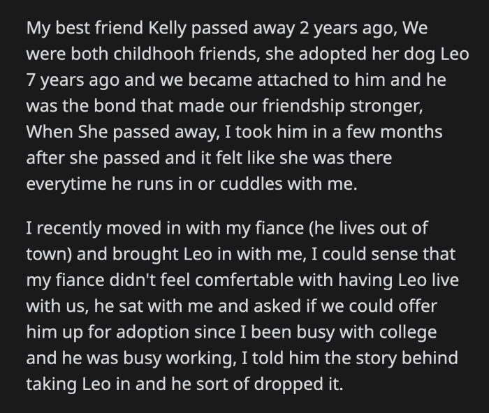 He explained that they came across a family while they were out for a walk. The family asked if Leo was up for adoption because their son had recently lost a dog that looked like Leo.