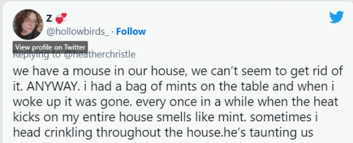 Maybe the mouse was going out on a date and needed a breath freshener