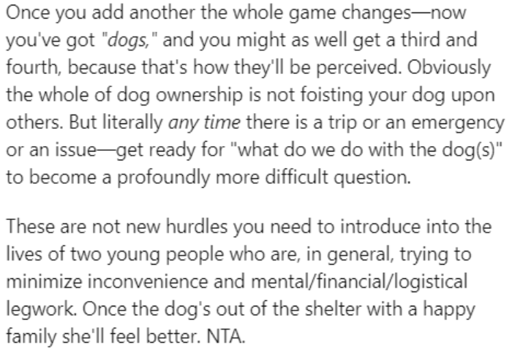 It can be difficult to decide how to go about things if there are two dogs and the owners need to go on a trip.
