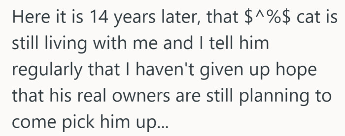 Fourteen years later and the joke is still running. Turns out the stray had long term plans.