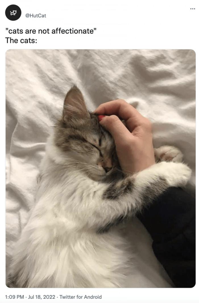 15. There, we proved you wrong!