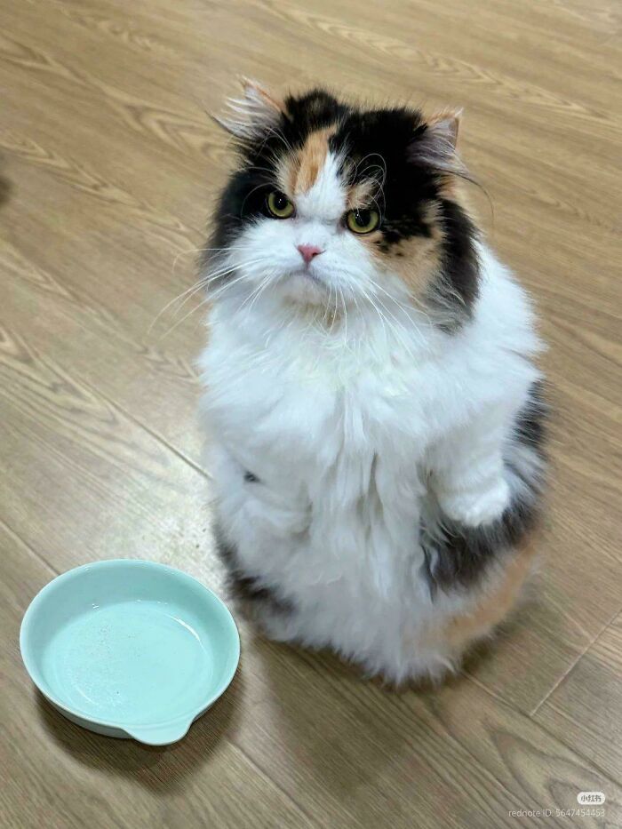 Where did the food go?
