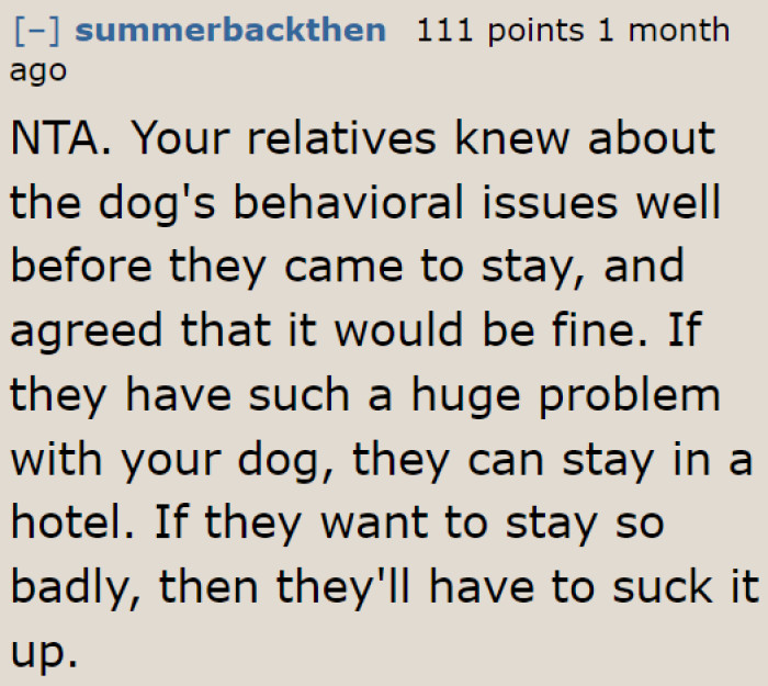 If the uncle is afraid of dogs, then he should've decided to stay at a hotel.