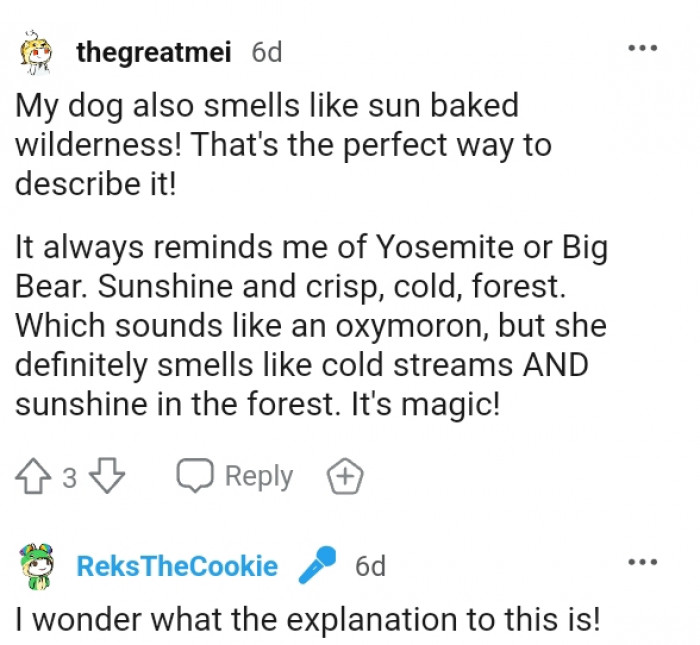 14. This redditor is describing the dog in the most perfect way possible