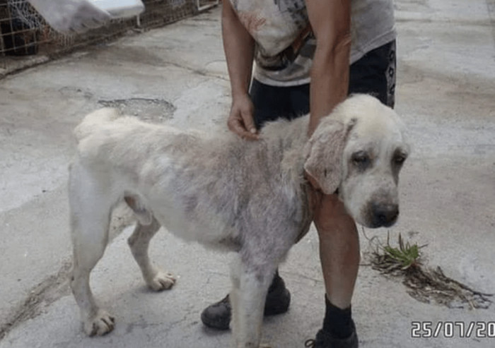 1. "Rough start, but a happy ending!"