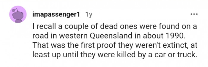 The first proof that they were not extinct