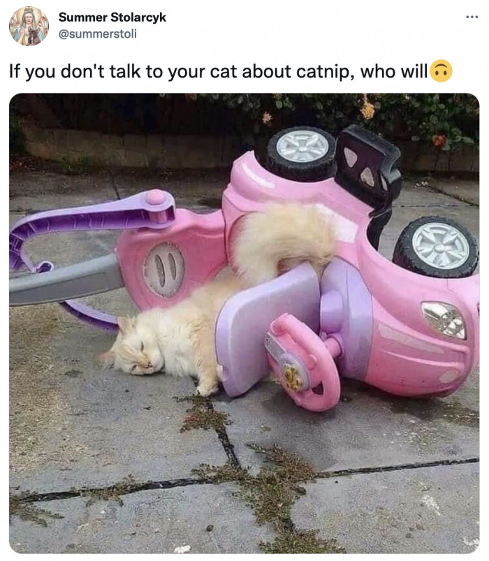 37. Do not drive under the influence, folks