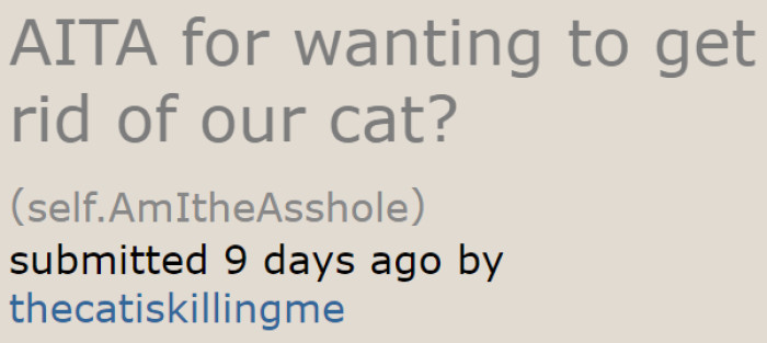 The OP wants to return their cat to the shelter because its challenging behavior problems.