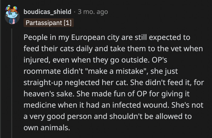 In a world where it's okay to have your cat exclusively outside, you still have to make sure it gets medical attention when it's injured and that it doesn't starve. OP's roommate did neither of those things.