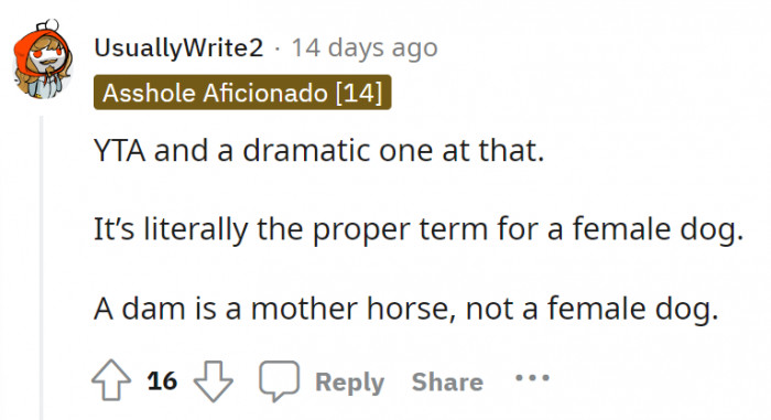 This Redditor just called OP dramatic. And they added a brief unsolicited English lesson.