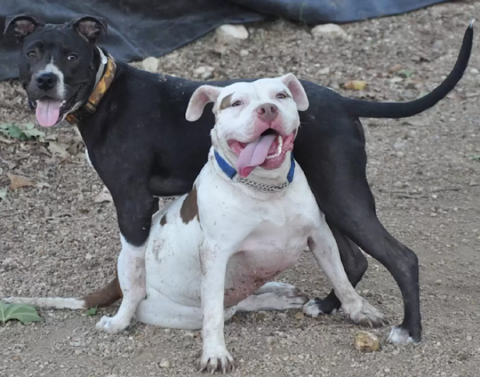 Nellie is finally prepared to move forward