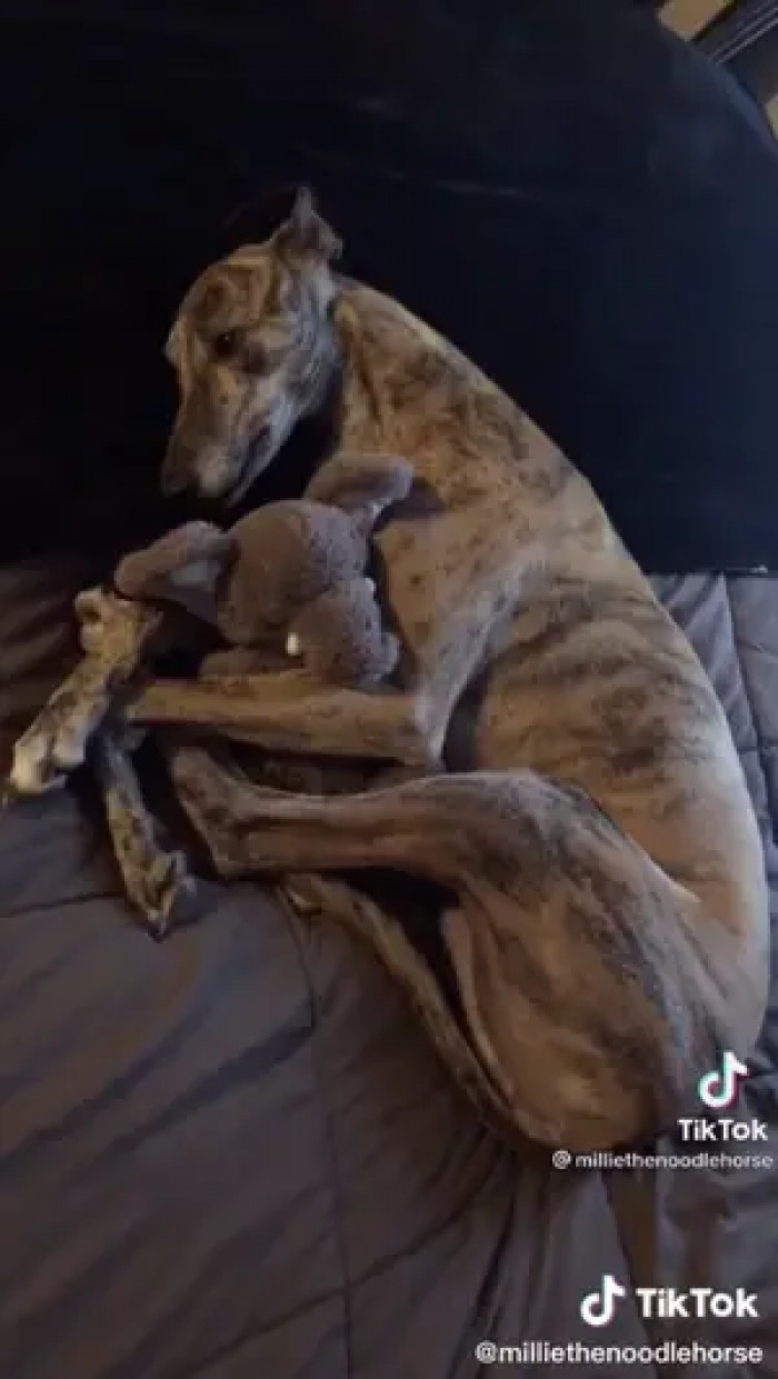 This best preserves warmth and protects their body.