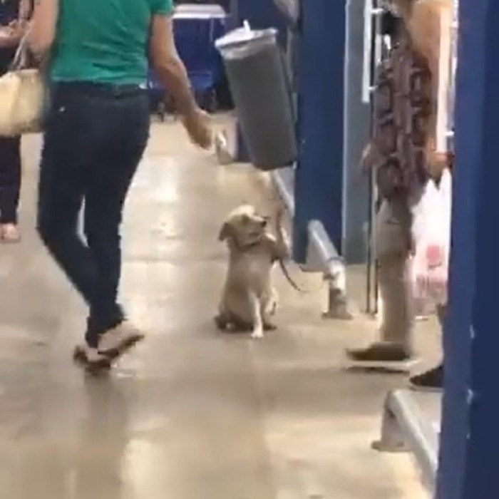 Where Are His Parents?