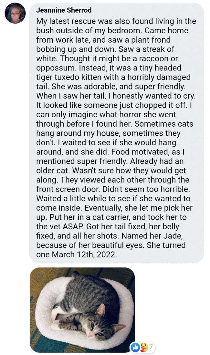 9. The most adorable little thing you may see today