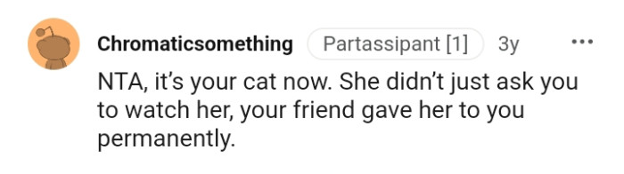Your friend gave the cat to you permanently