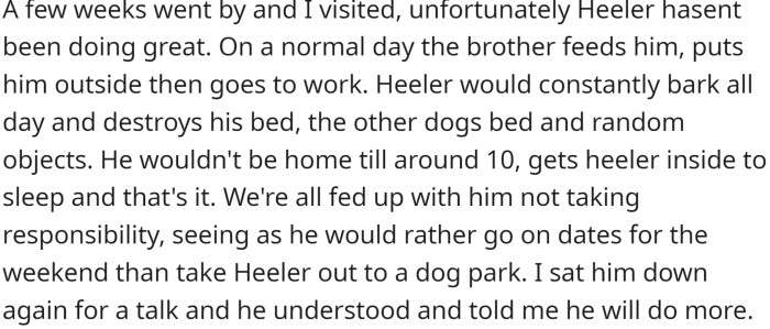 But the dog wasn't doing well.