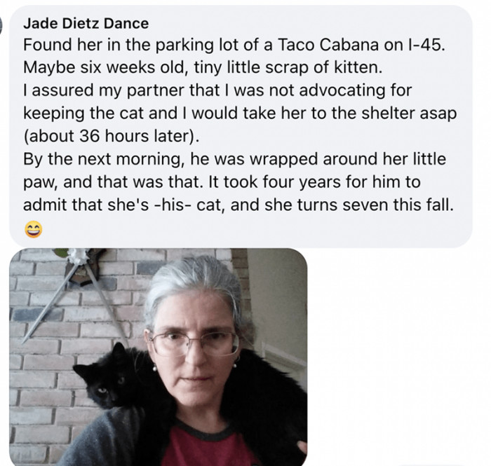 3. A classic case of feline love