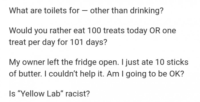 Meme-like dog Q&A post, “It’s the last question for me” and “Good questions”