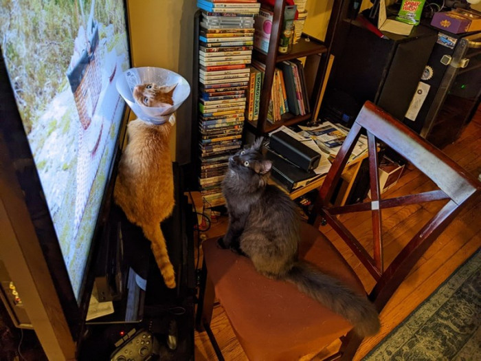 The rest of the images are dups