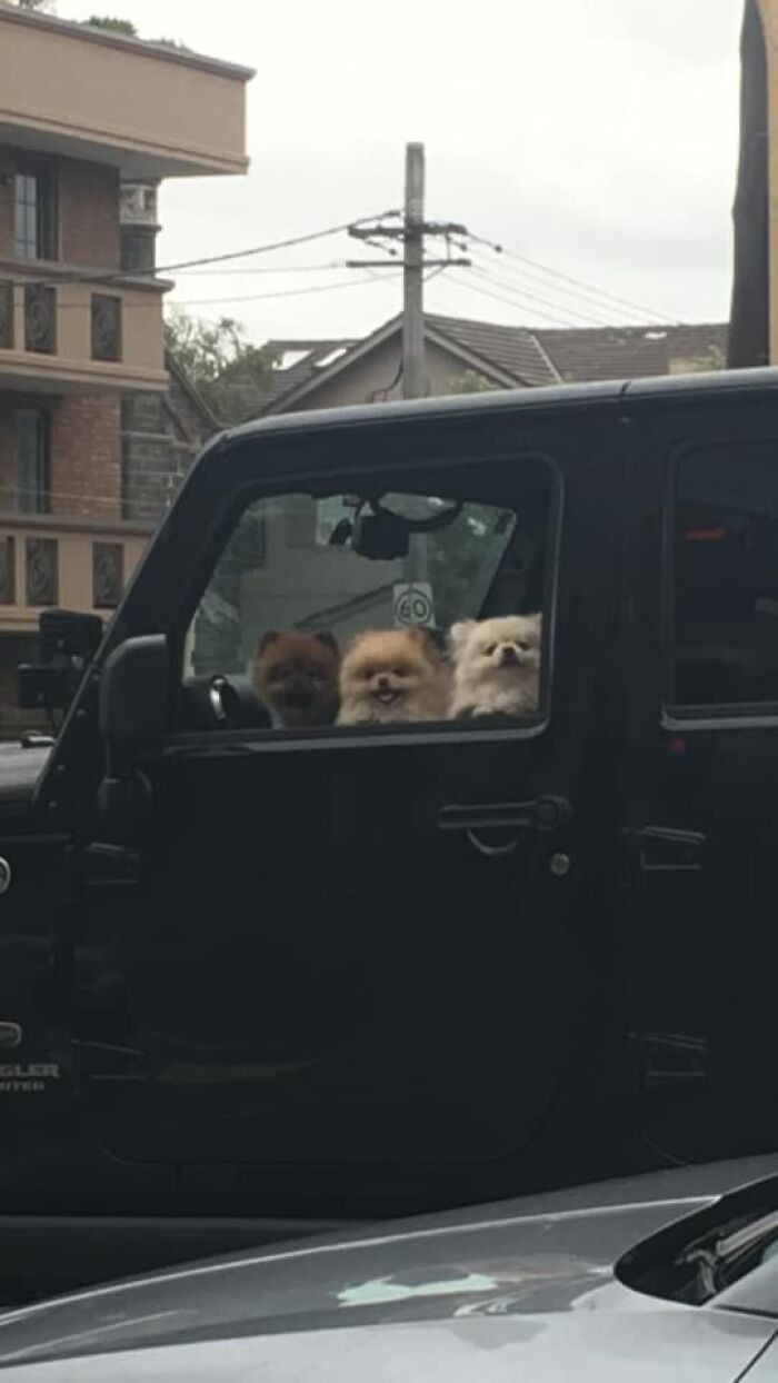 2. Was Looking At A Cool Car & Found A Nice Surprise