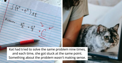 Cat Comes To The Rescue And Solves Complex Calculus Problem
